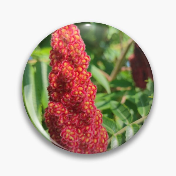 Item preview, Stag's-horn Sumac blooming designed and sold by tshuki.