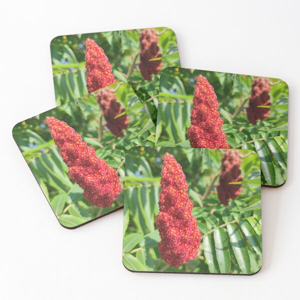 Item preview, Stag's-horn Sumac blooming designed and sold by tshuki.
