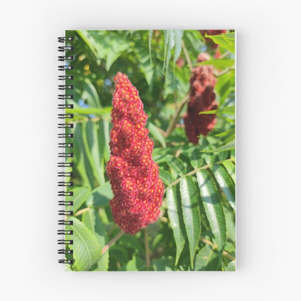 Item preview, Stag's-horn Sumac blooming designed and sold by tshuki.