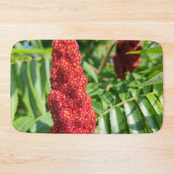 Item preview, Stag's-horn Sumac blooming designed and sold by tshuki.