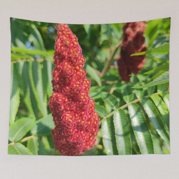 Item preview, Stag's-horn Sumac blooming designed and sold by tshuki.