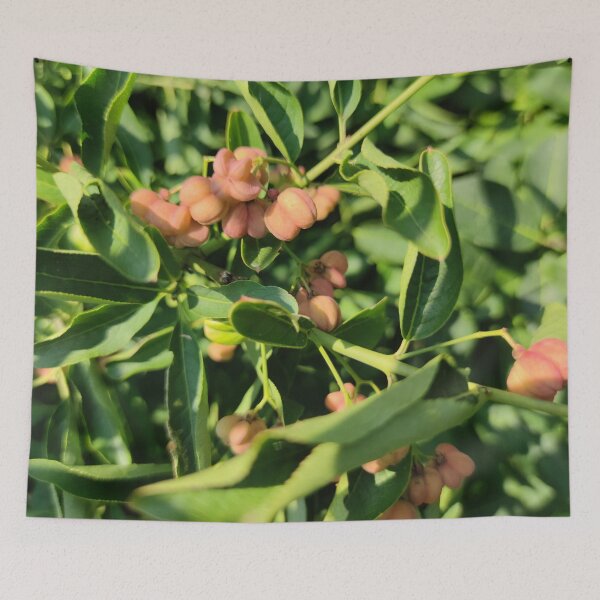Item preview, Cute little spindle berries designed and sold by tshuki.