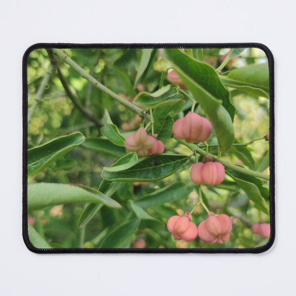 Item preview, Cute little spindle berries in shade designed and sold by tshuki.