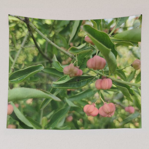Item preview, Cute little spindle berries in shade designed and sold by tshuki.