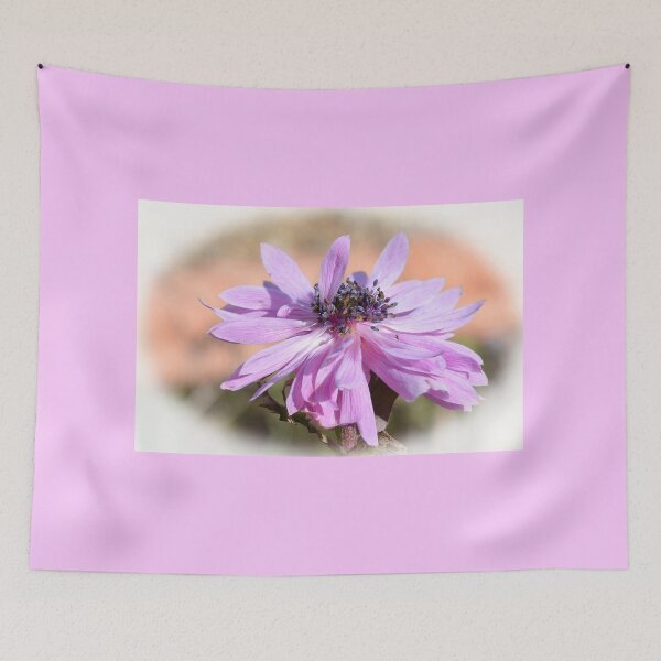 Item preview, Anemone Flower... Lyme Regis Dorset UK designed and sold by lynn carter.