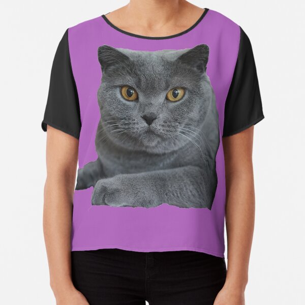 Kitten Face T Shirts For Sale Redbubble