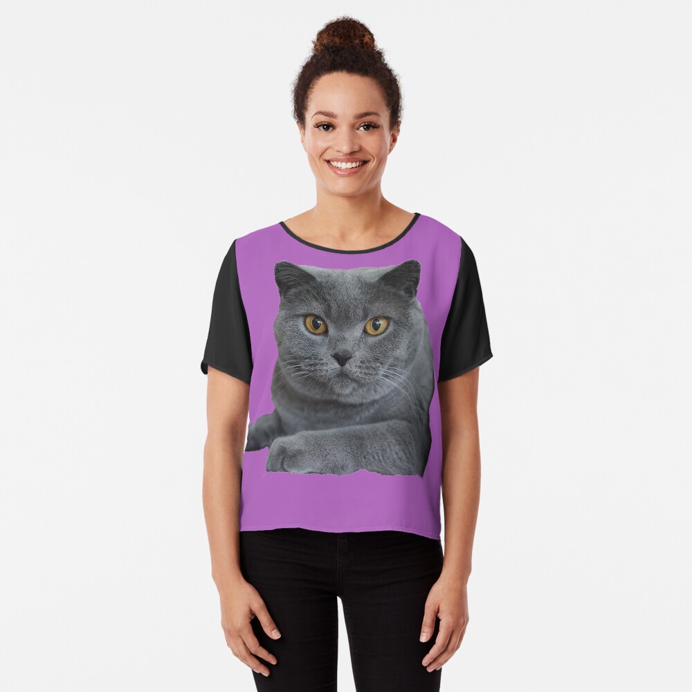 wellmar british shorthair cats