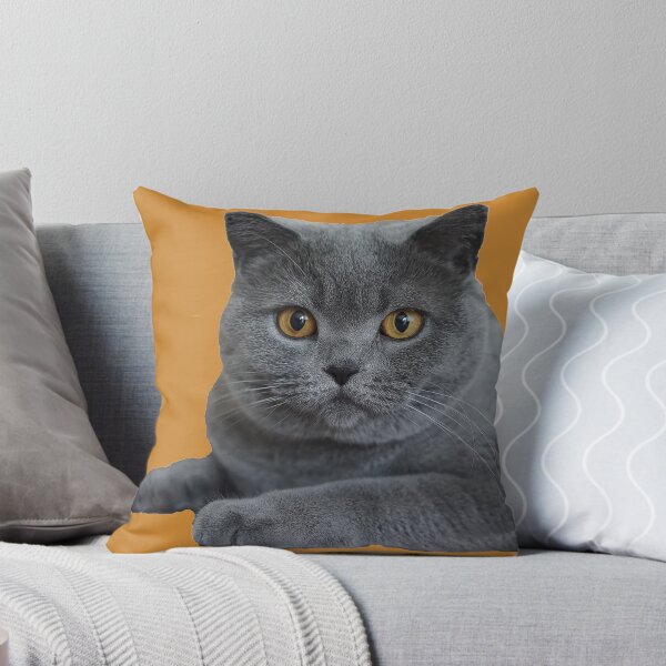 Item preview, British Blue Shorthair Cat Face Portrait Profile designed and sold by Croneda.