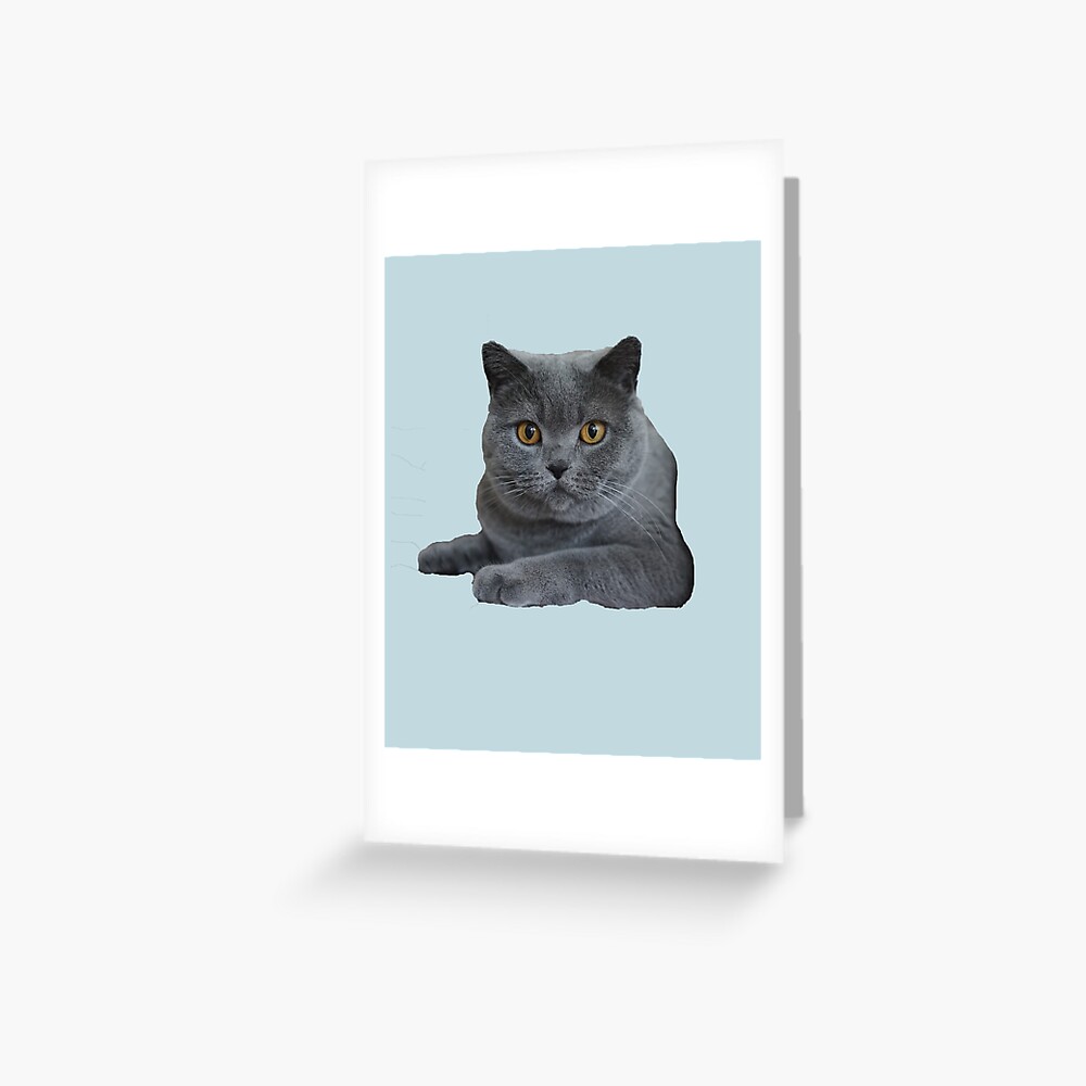 british blue cat gifts