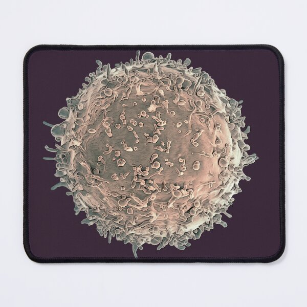 Item preview, Defenders from Invasion: B Lymphocyte, original designed and sold by DreamingBeetle.