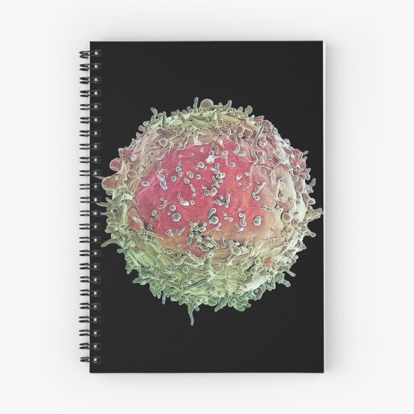 Item preview, Defenders from Invasion: B Lymphocyte, apple designed and sold by DreamingBeetle.
