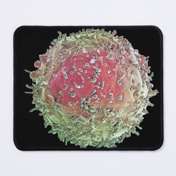 Item preview, Defenders from Invasion: B Lymphocyte, apple designed and sold by DreamingBeetle.