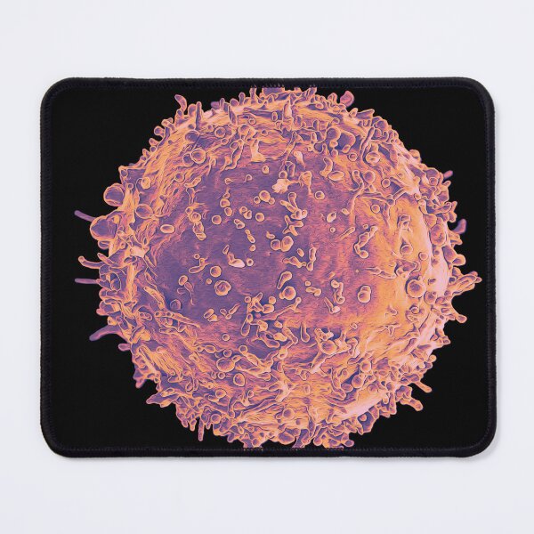 Item preview, Defenders from Invasion: B Lymphocyte, Sunset designed and sold by DreamingBeetle.