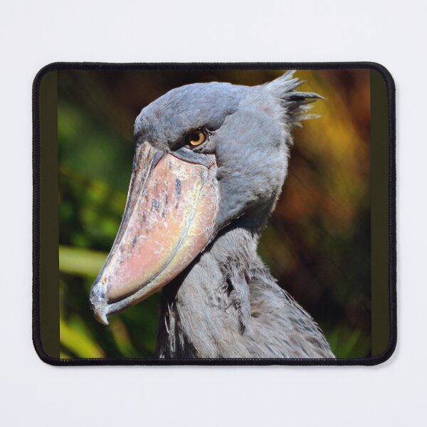 Item preview, Shoebill  designed and sold by Savannah Gibbs.