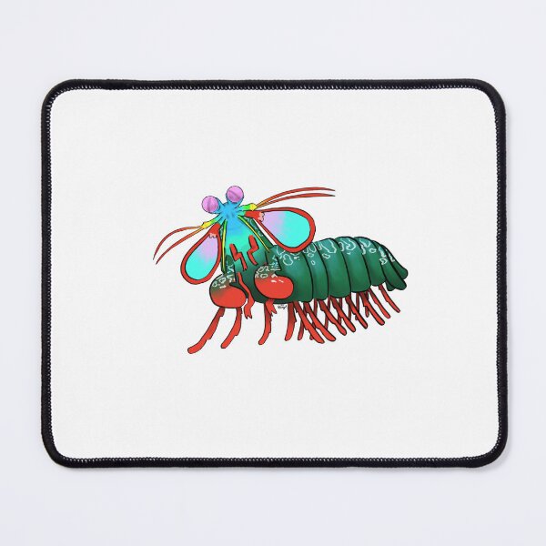 Item preview, Peacock Mantis Shrimp designed and sold by Silly Lil Arts.