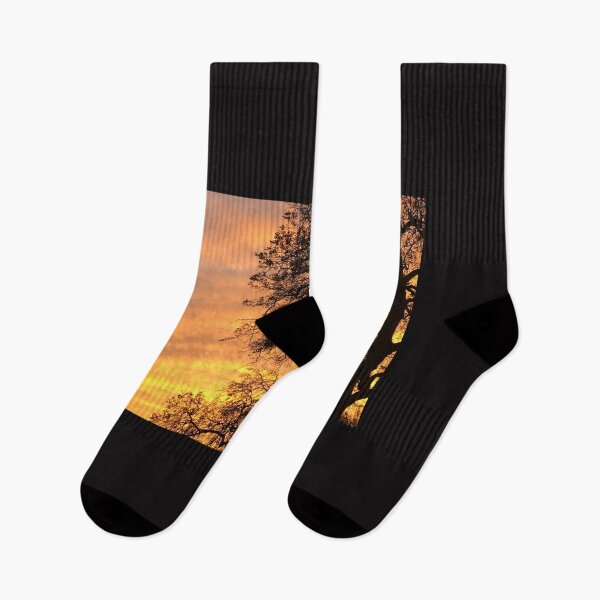 Item preview, A sunset among the trees designed and sold by InsoArt.