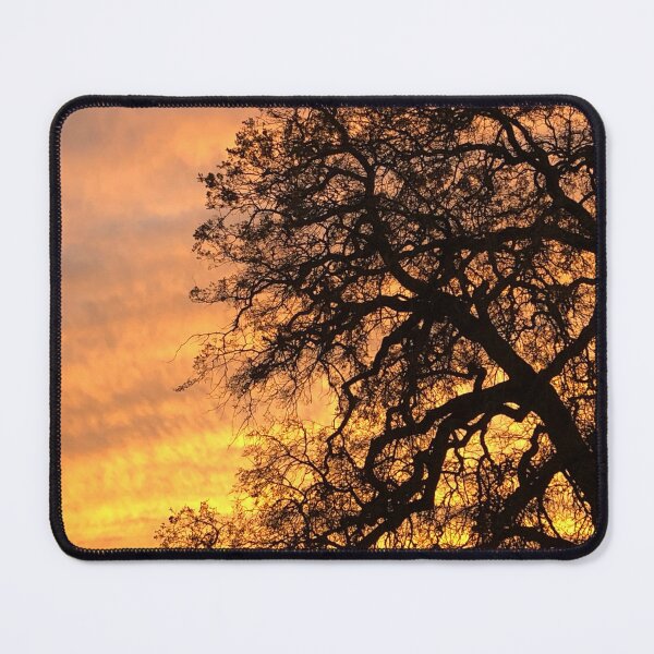 Item preview, A sunset among the trees designed and sold by InsoArt.
