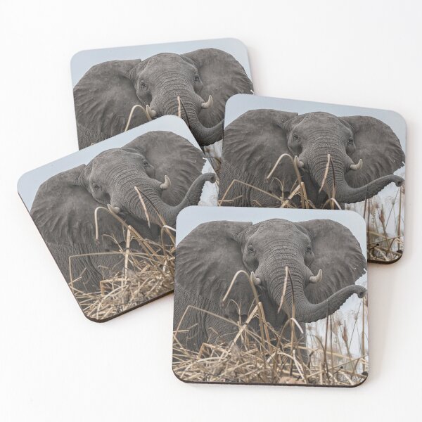 Item preview, Elephant Along the Okavango River designed and sold by Belinda Greb Photography.