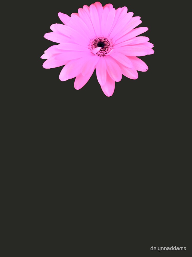 Pink Daisy by delynnaddams