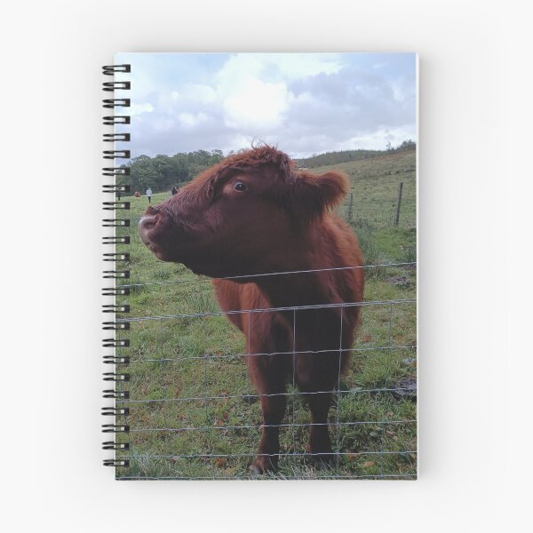 Item preview, Cow of Scotland designed and sold by Phoebe Davenport.