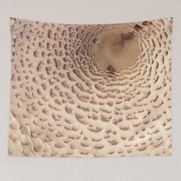 Item preview, Wild Mushroom Close Up designed and sold by CJRPics.