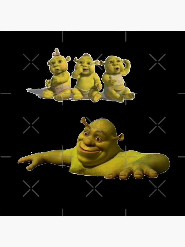 Memes do Shrek on X:  / X