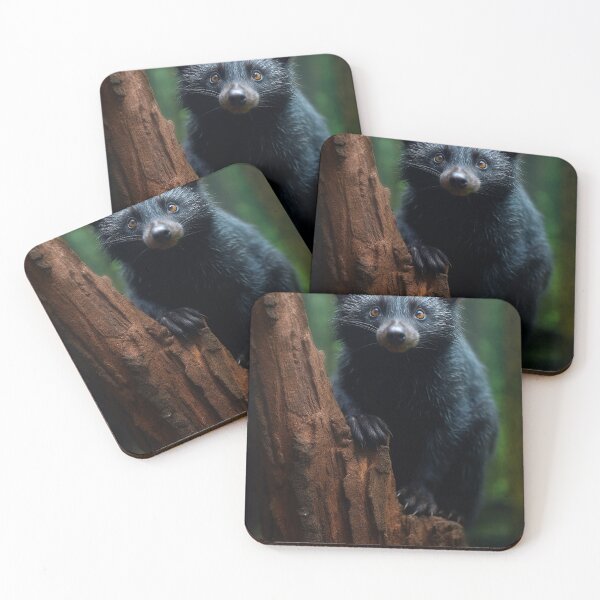 Item preview, Binturong designed and sold by DigitizedArt.