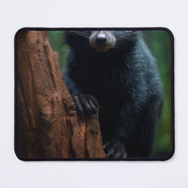 Item preview, Binturong designed and sold by DigitizedArt.