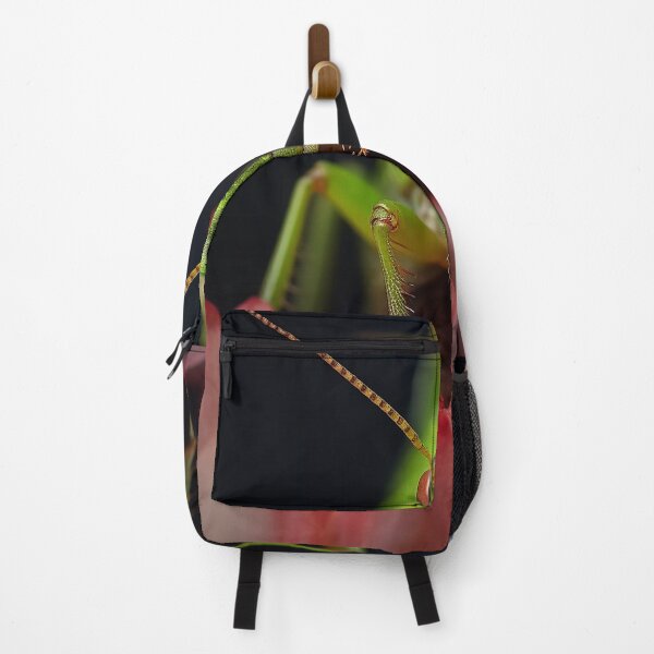 Item preview, Calabrian Speckled Bush Cricket designed and sold by DigitizedArt.