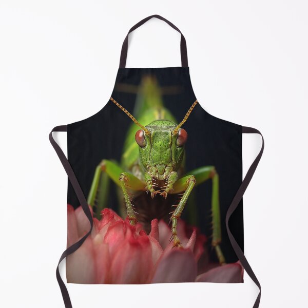 Item preview, Calabrian Speckled Bush Cricket designed and sold by DigitizedArt.