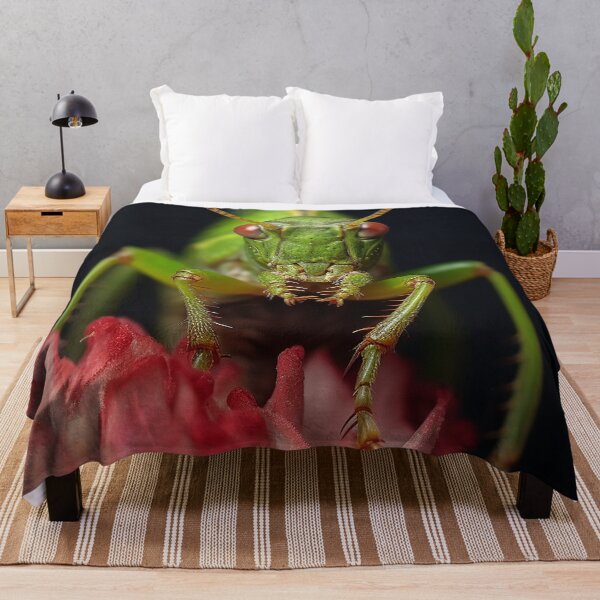 Item preview, Calabrian Speckled Bush Cricket designed and sold by DigitizedArt.