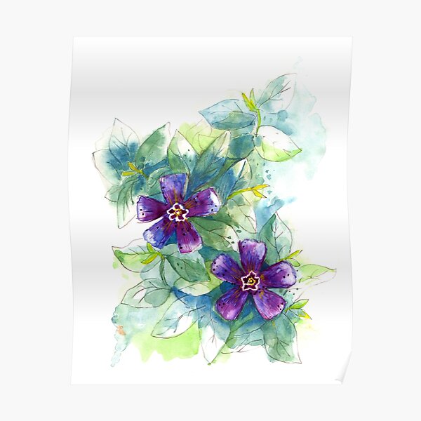 "evergreen" Poster for Sale by HoneyGherkin Redbubble