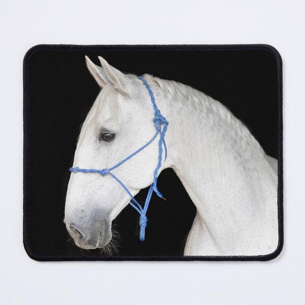 Item preview, Grey Lusitano horse against a black background designed and sold by myequineartwork.
