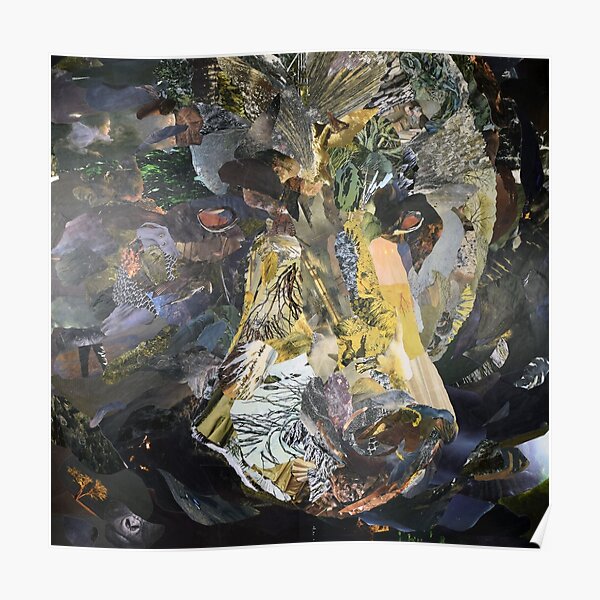 Black Bear Close-Up Collage Art Poster