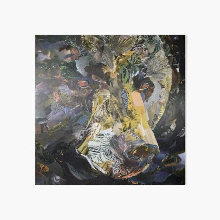 Black Bear Close-Up Collage Art Art Board Print