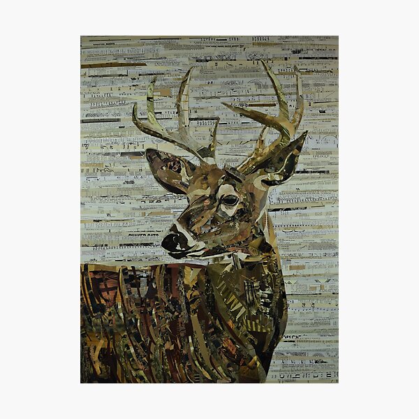 Whitetail Deer Collage Art Unique Photographic Print
