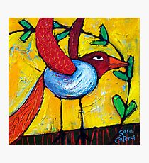 FLIGHT OF THE LOVEBIRD Photographic Print
