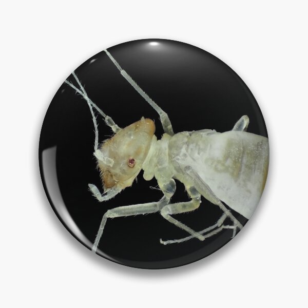 Item preview, Barklouse under the microscope designed and sold by SDym Photography.