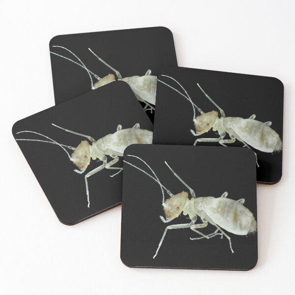 Item preview, Barklouse under the microscope designed and sold by SDym Photography.