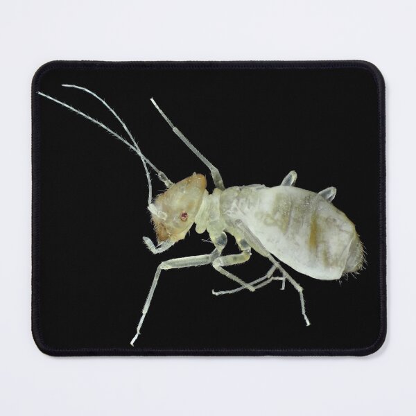 Item preview, Barklouse under the microscope designed and sold by SDym Photography.