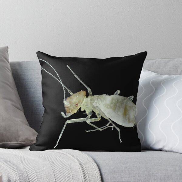 Item preview, Barklouse under the microscope designed and sold by SDym Photography.