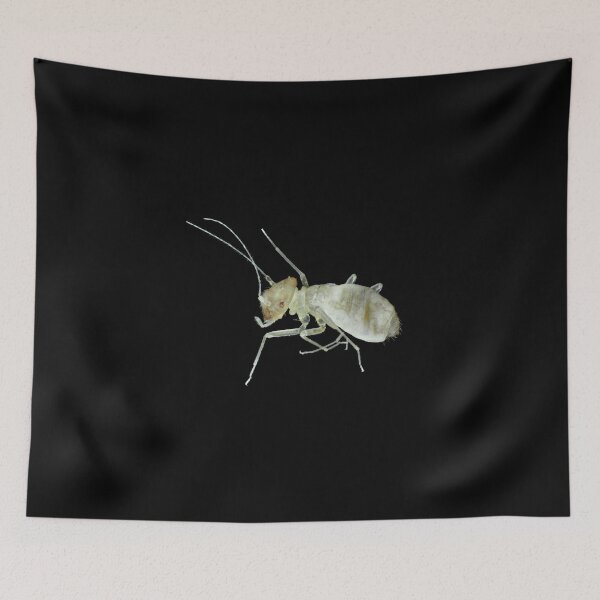 Item preview, Barklouse under the microscope designed and sold by SDym Photography.