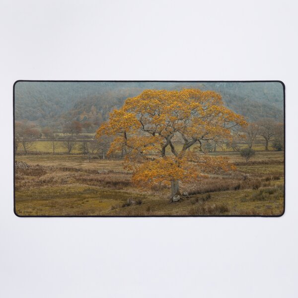 Item preview, Autumn's Splendor designed and sold by assaf.