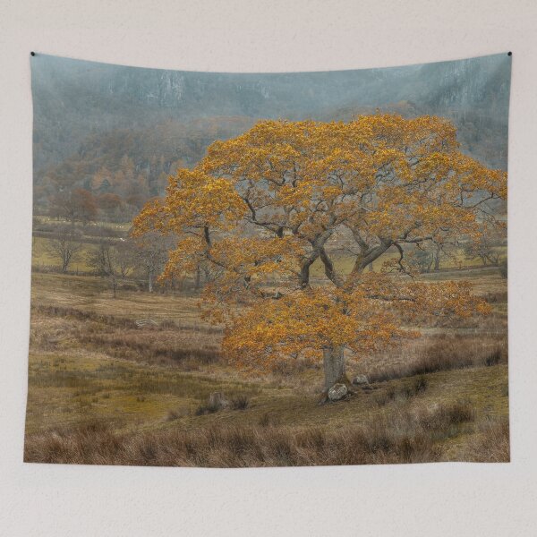 Item preview, Autumn's Splendor designed and sold by assaf.