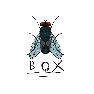 Artwork thumbnail, BoxFly by SimpleAnarchy