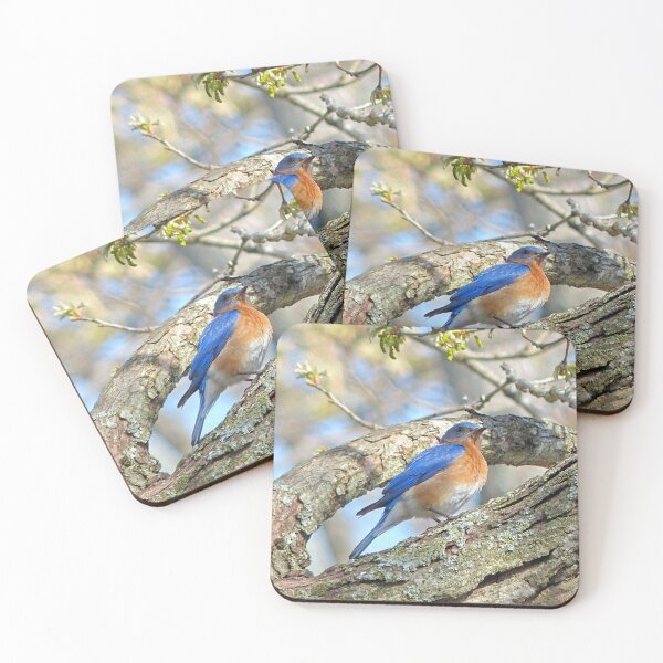 Item preview, Bluebird designed and sold by Frankie Cat Photography.