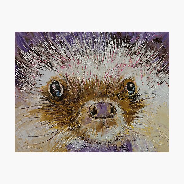 Item preview, Hedgehog designed and sold by Michael Creese.