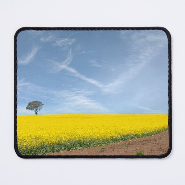 Item preview, Canola - Cootamundra NSW designed and sold by Rosalie Dale.
