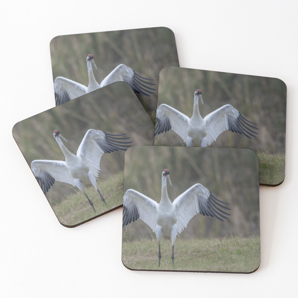 Item preview, Coasters (Set of 4) designed and sold by rshankar8080.