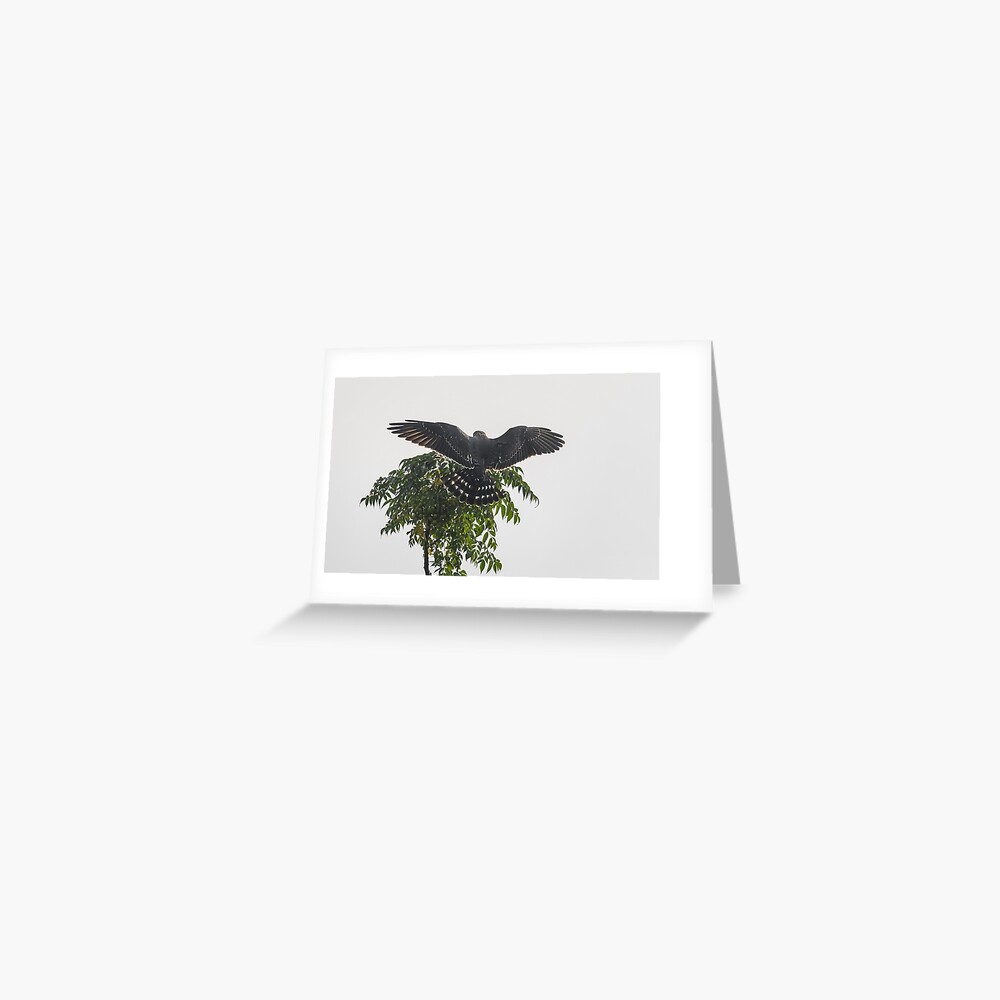 Item preview, Greeting Card designed and sold by rshankar8080.